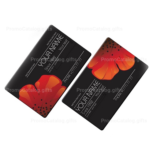 2GB Credit Card USB Flash Drive