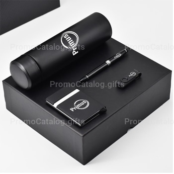 Corporate Vaccum Bottle & Flash Drive Gift Set with Pen & Card Holder