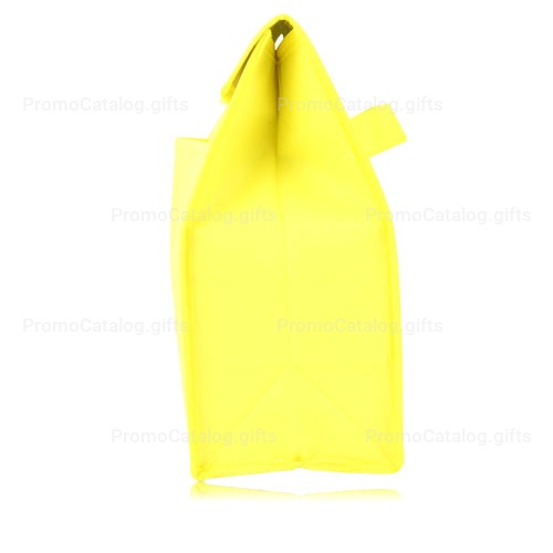 Non Woven Cooler Lunch Bag