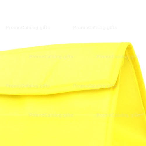 Non Woven Cooler Lunch Bag