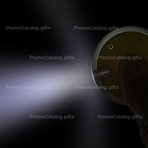 Disc Shaped Led Keychain