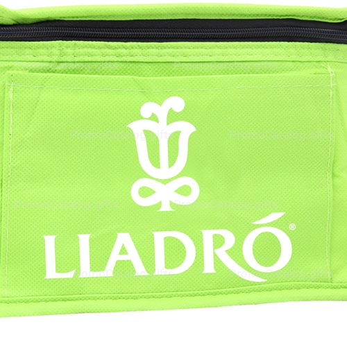 Non Woven Insulated Cooler Bag