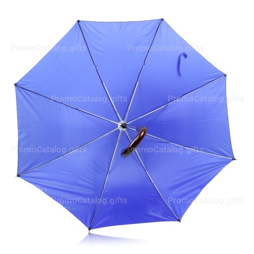 Fashionable Umbrella With Plastic Cover