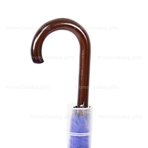 Fashionable Umbrella With Plastic Cover
