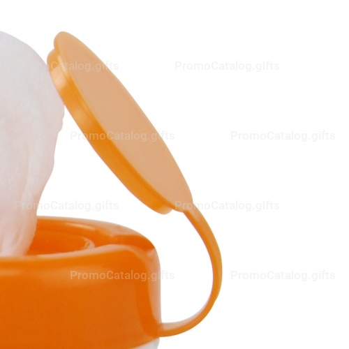 30 Wet Cleansing Wipes